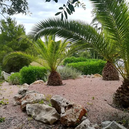 3384 Astret * טאולאדה